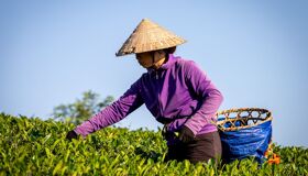 Vietnam visa exemption 45 days